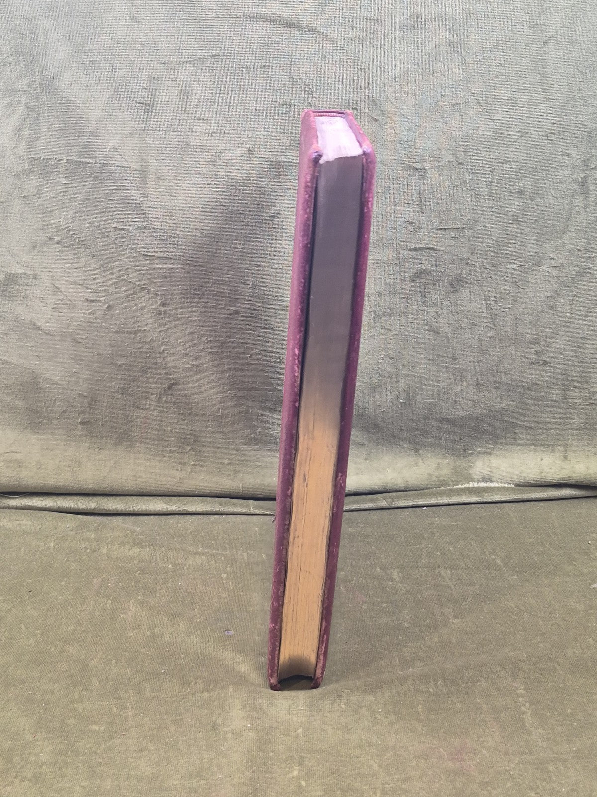 Men of the Period / Scotland - Records of a Great Country 1st 1896 Leather Gilt7