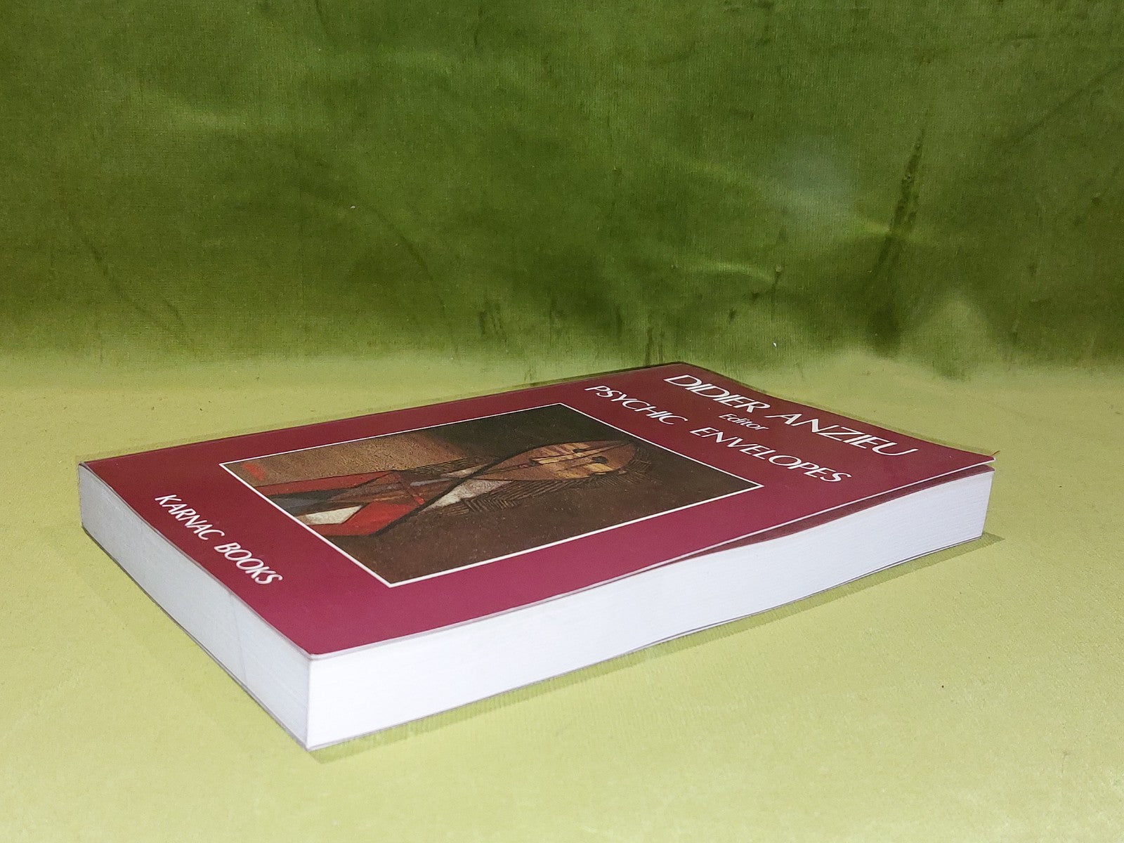 Psychic Envelopes by Didier Anzieu (1990) [Karnac Books] Pb Book4