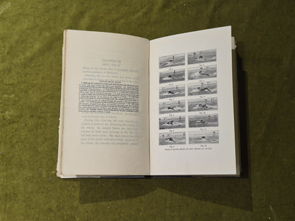 Swimming the American Crawl - Johnny Weissmuller , G P Putnam's Sons 1933 HB DJ6