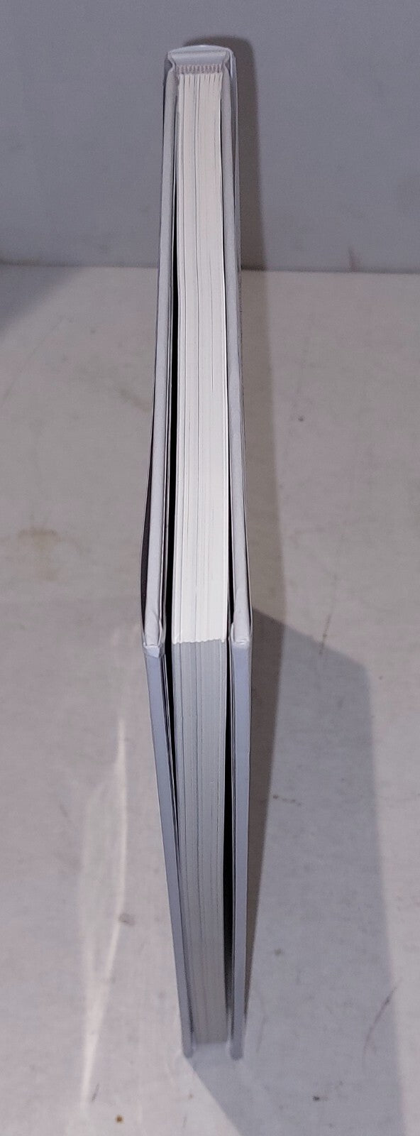 Francis Bacon: Phaidon Focus by Martin Hammer Hb Book2