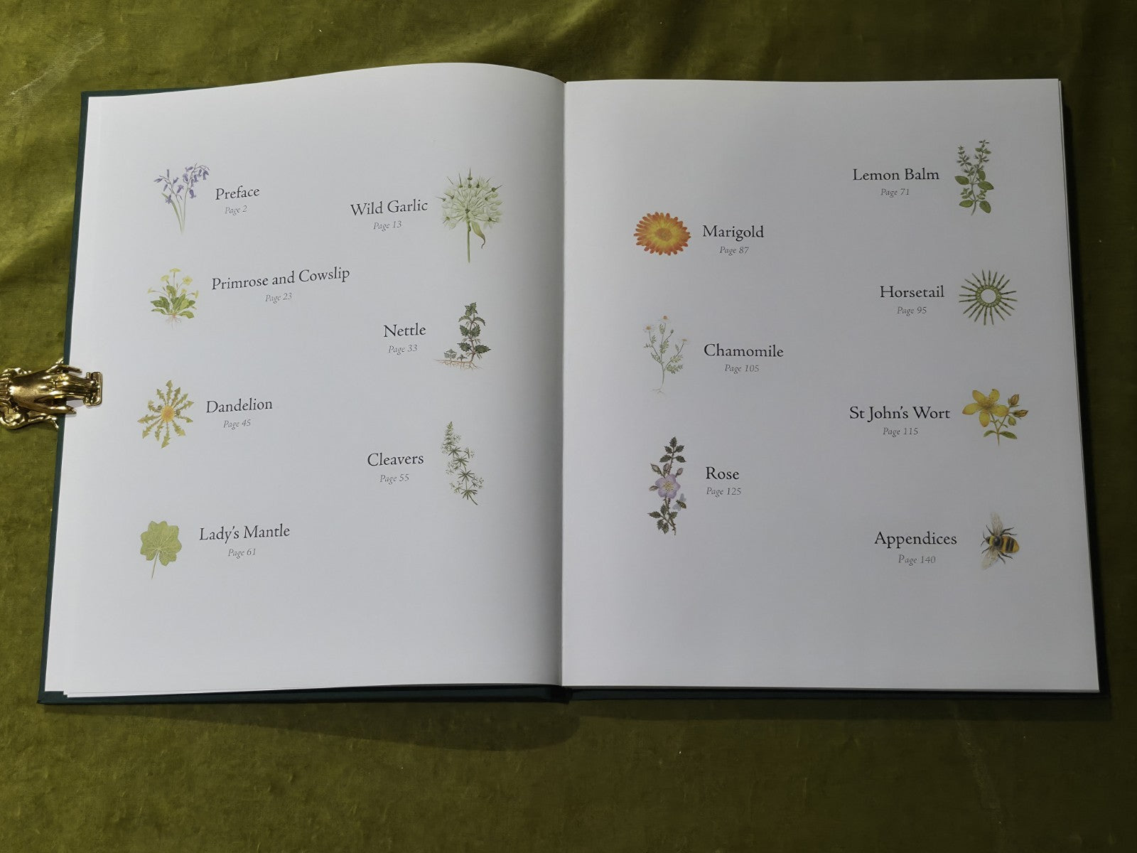 Weeds in the Heart - Nathaniel Hughes Fiona Owen Limited 1st Edition Signed 20167