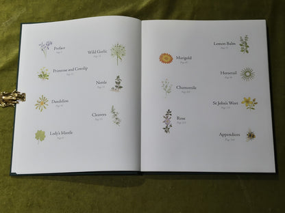 Weeds in the Heart - Nathaniel Hughes Fiona Owen Limited 1st Edition Signed 20167