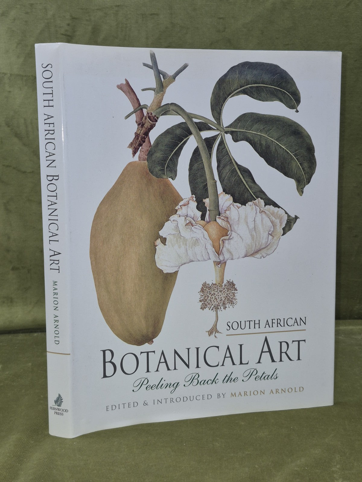 South African botanical ART by Marion Arnold 0