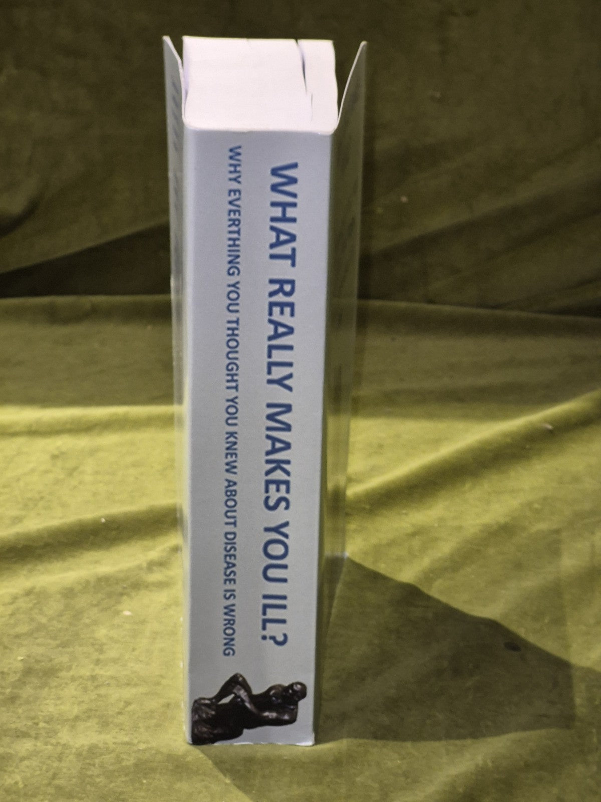 What Really Makes You Ill? By David Parker & Dawn Lester 2019 Paperback2