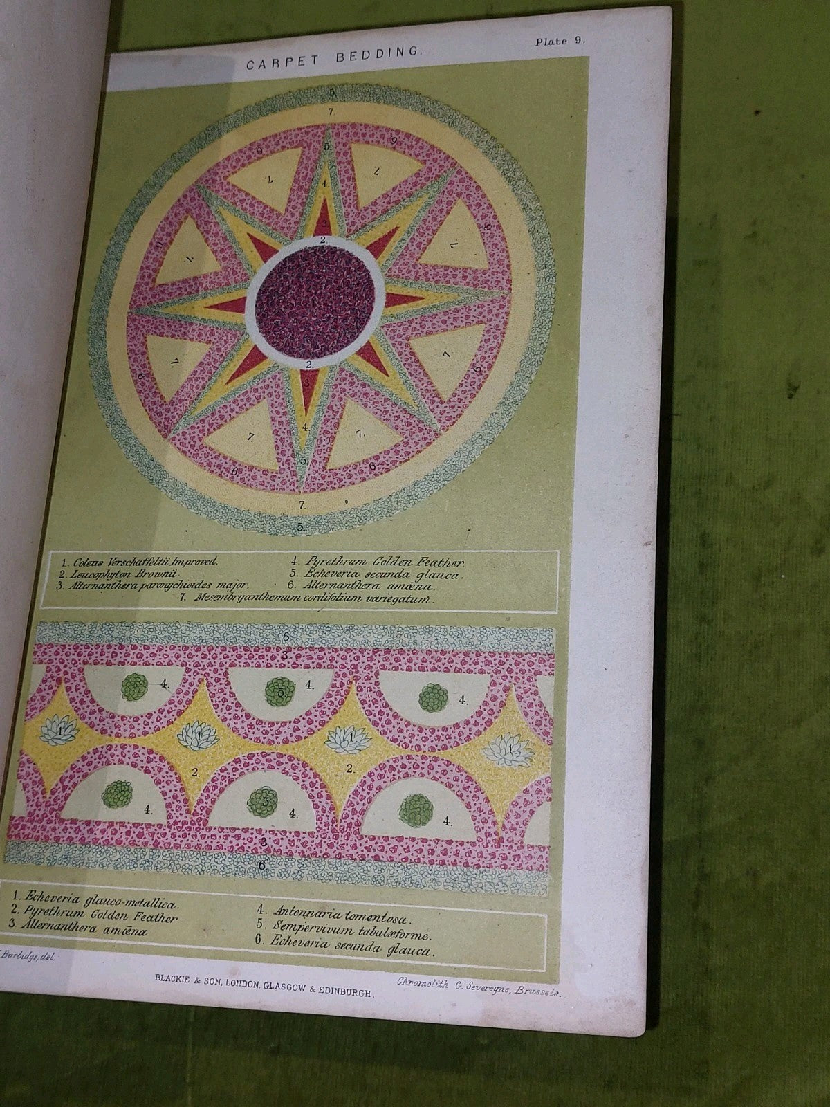 The Gardener’s Assistant Practical and Scientific Gardening 1878 Thompson Moore7