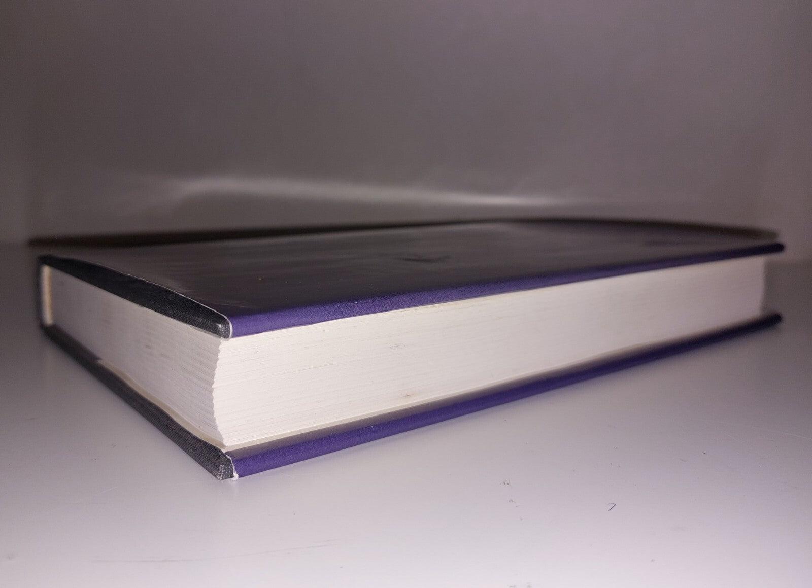 Against The Spirit Of System, John Warner, Princeton Uni Press (1998) Book7