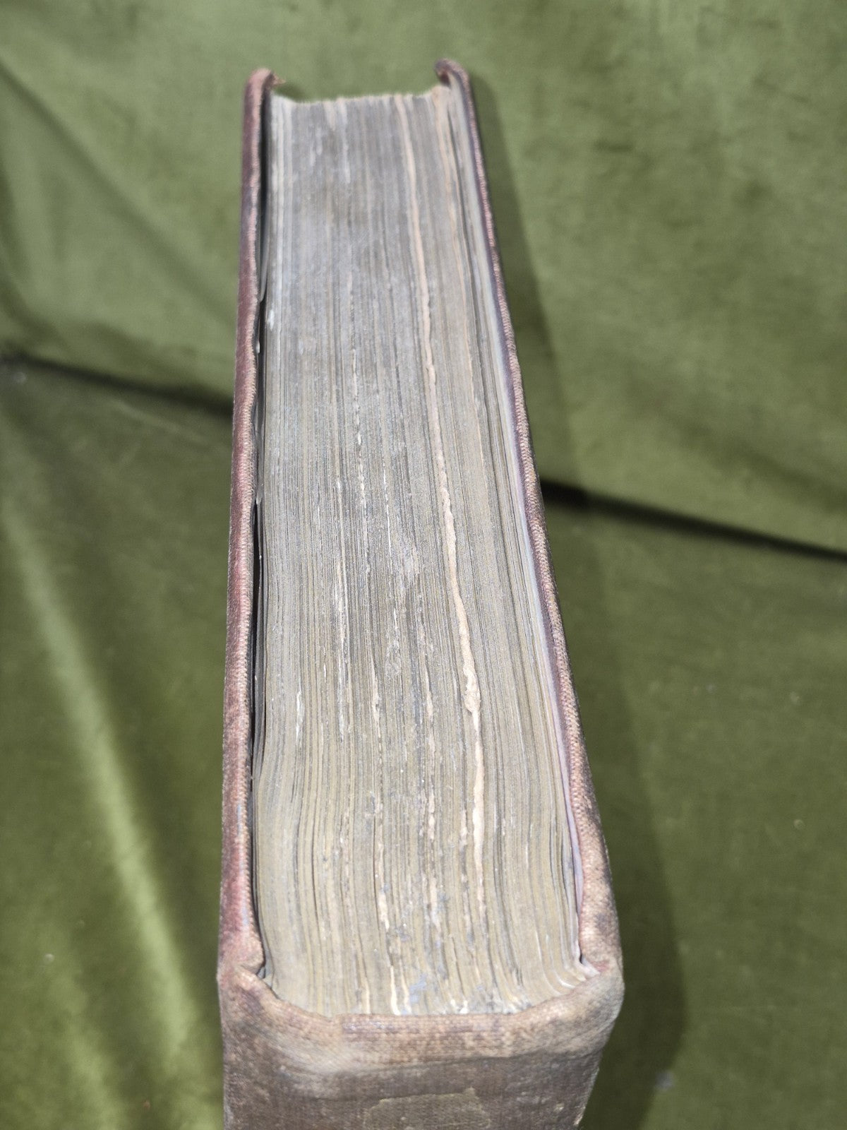 The Horses of the British Empire Humphrey F De Trafford Walter Volume 2.2