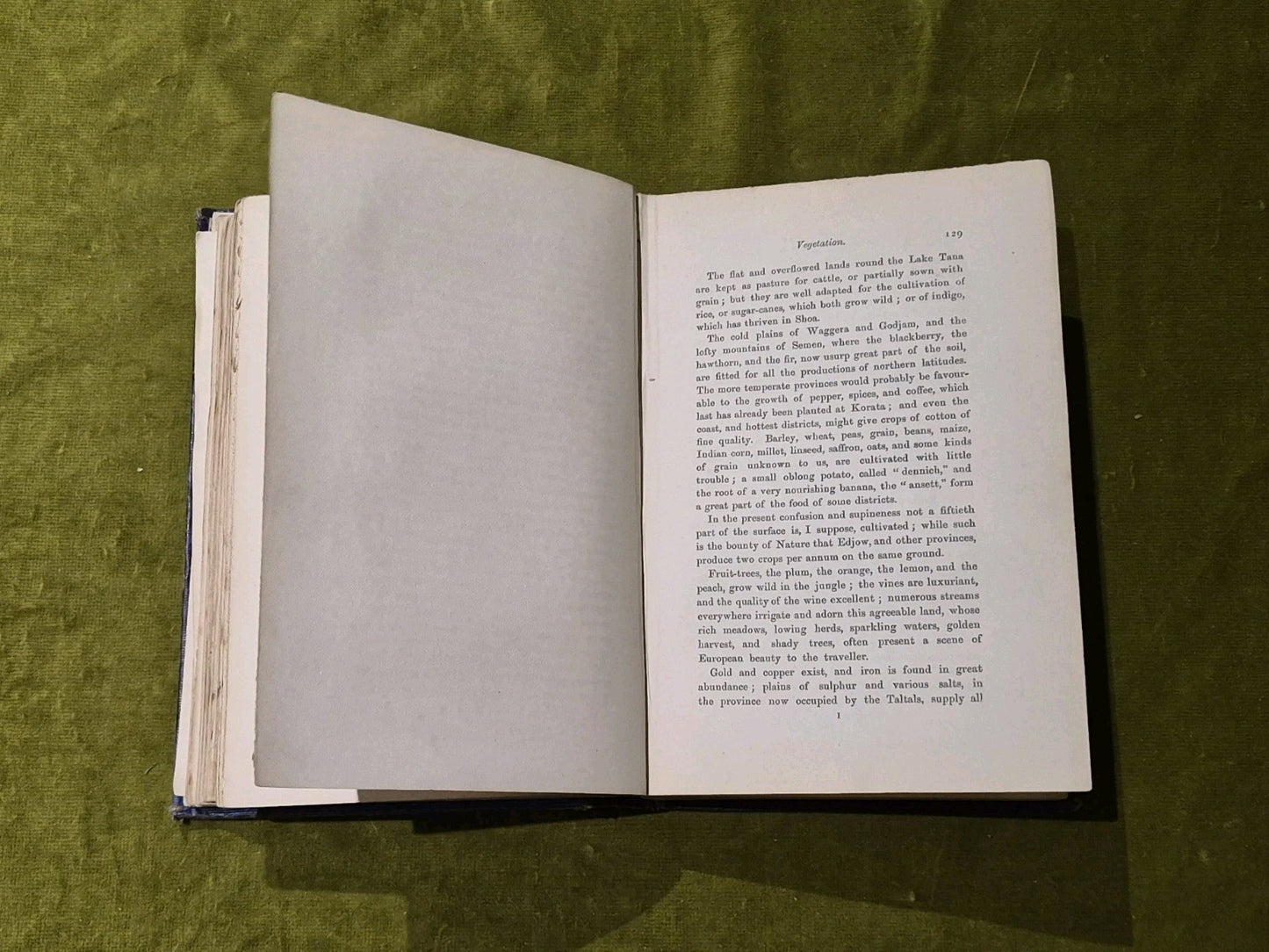 1868 Abyssinia and Its People John Camden Hotten First Ed Illustrated7