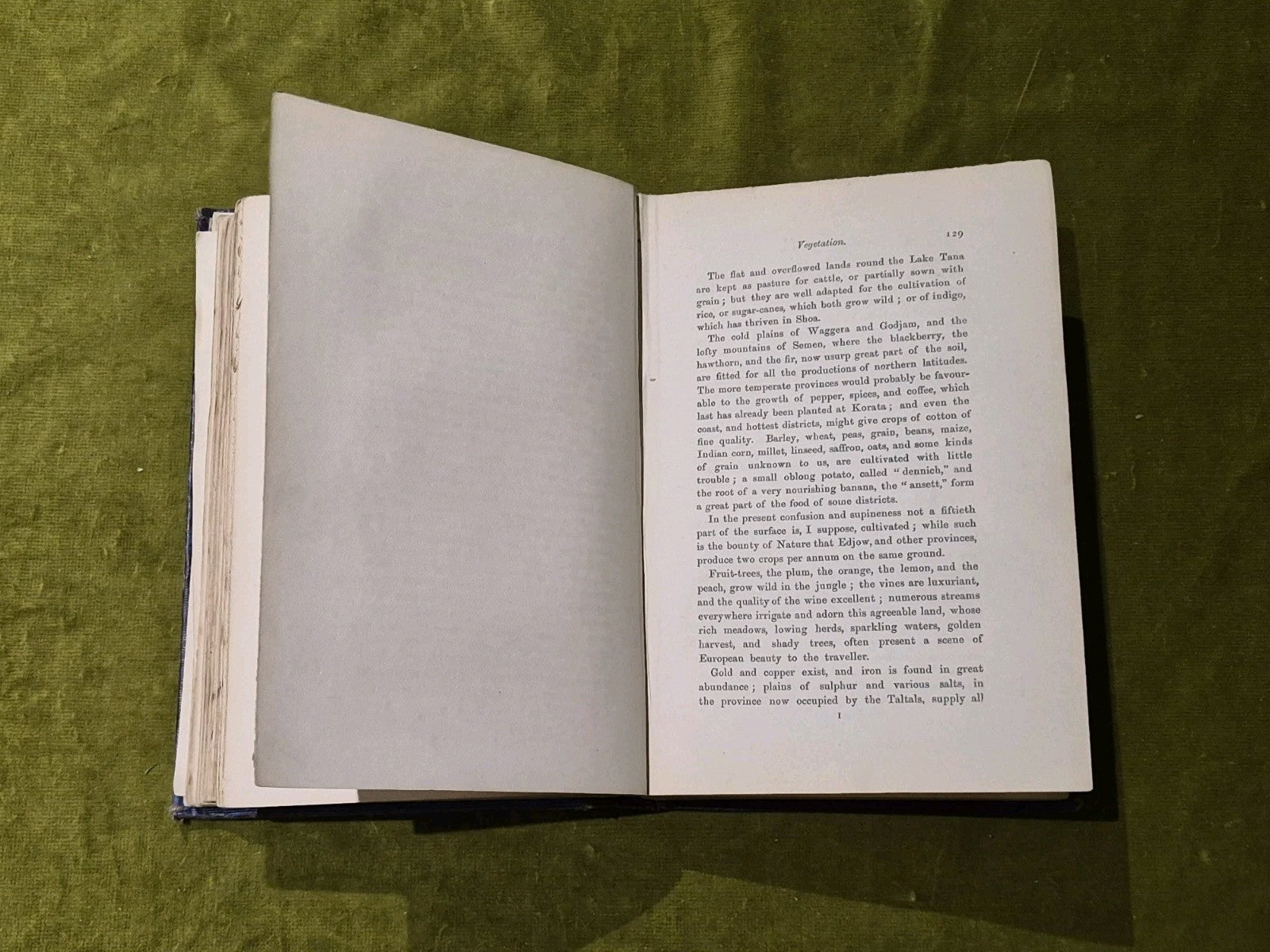 1868 Abyssinia and Its People John Camden Hotten First Ed Illustrated7