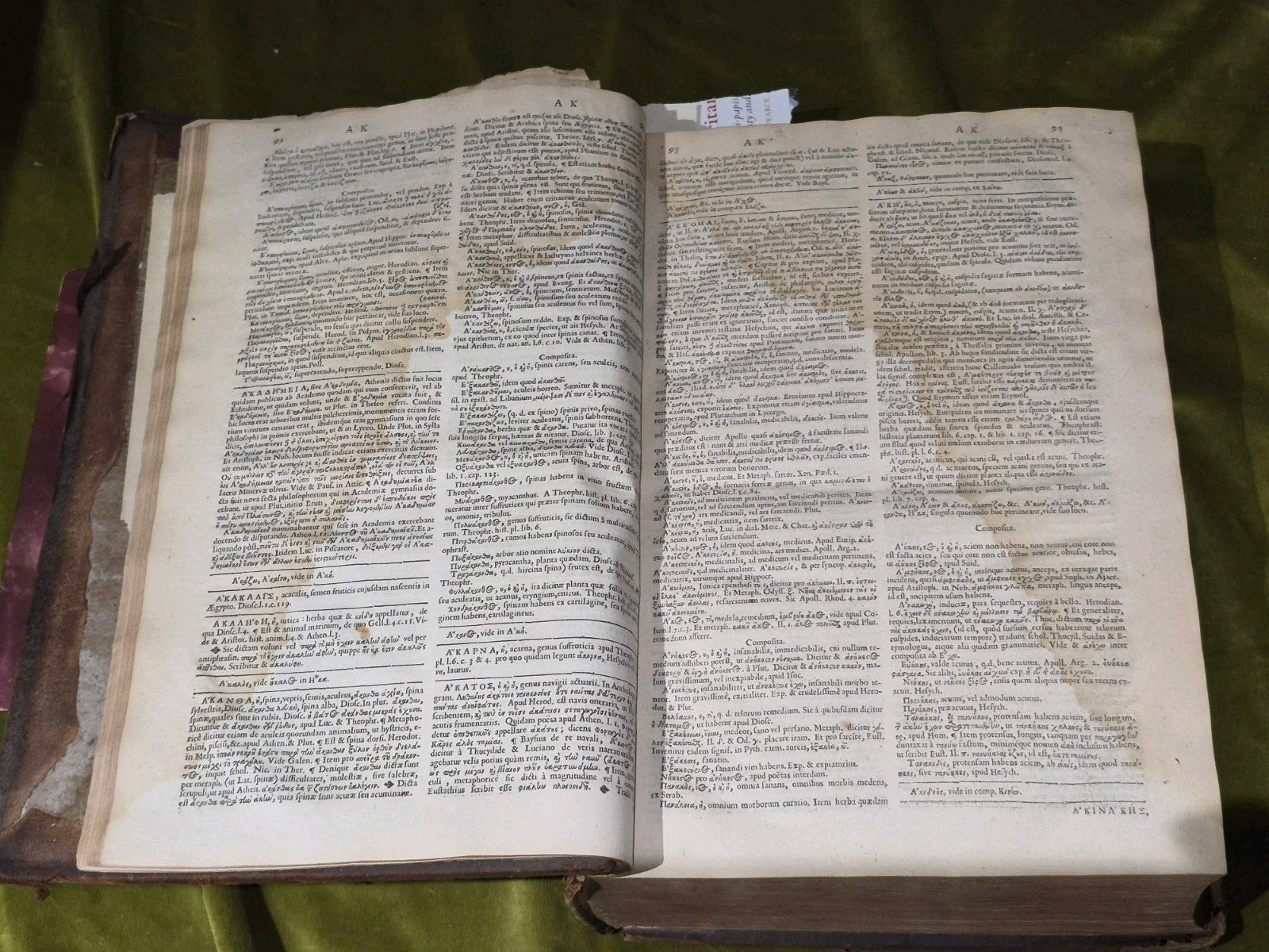 1637 Greek-Roman Lexicon - In Quo Ex Primitivorum - Ioannis Scapulae - Leather5