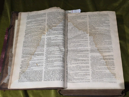 1637 Greek-Roman Lexicon - In Quo Ex Primitivorum - Ioannis Scapulae - Leather5