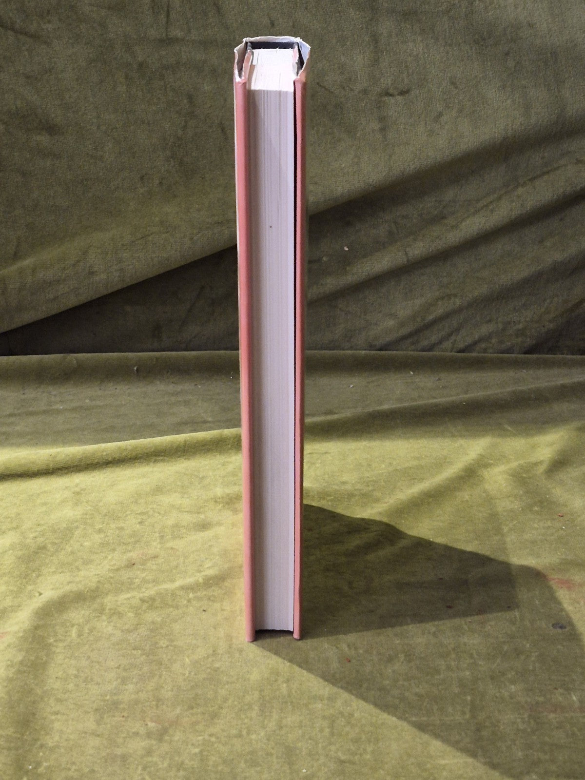 The Tenement - A Way Of Life - Frank Worsdall  1st Edition 1979 Chambers7