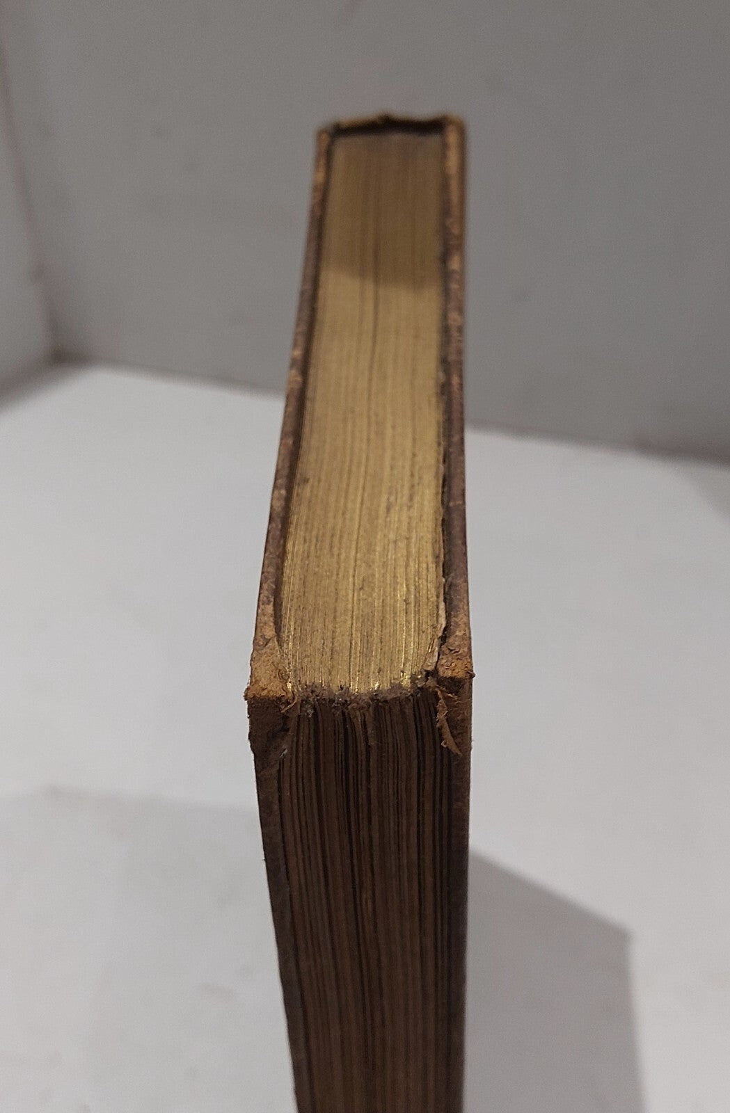 19th Century, Etching In England By Frederick Wedmore (1895) Book1