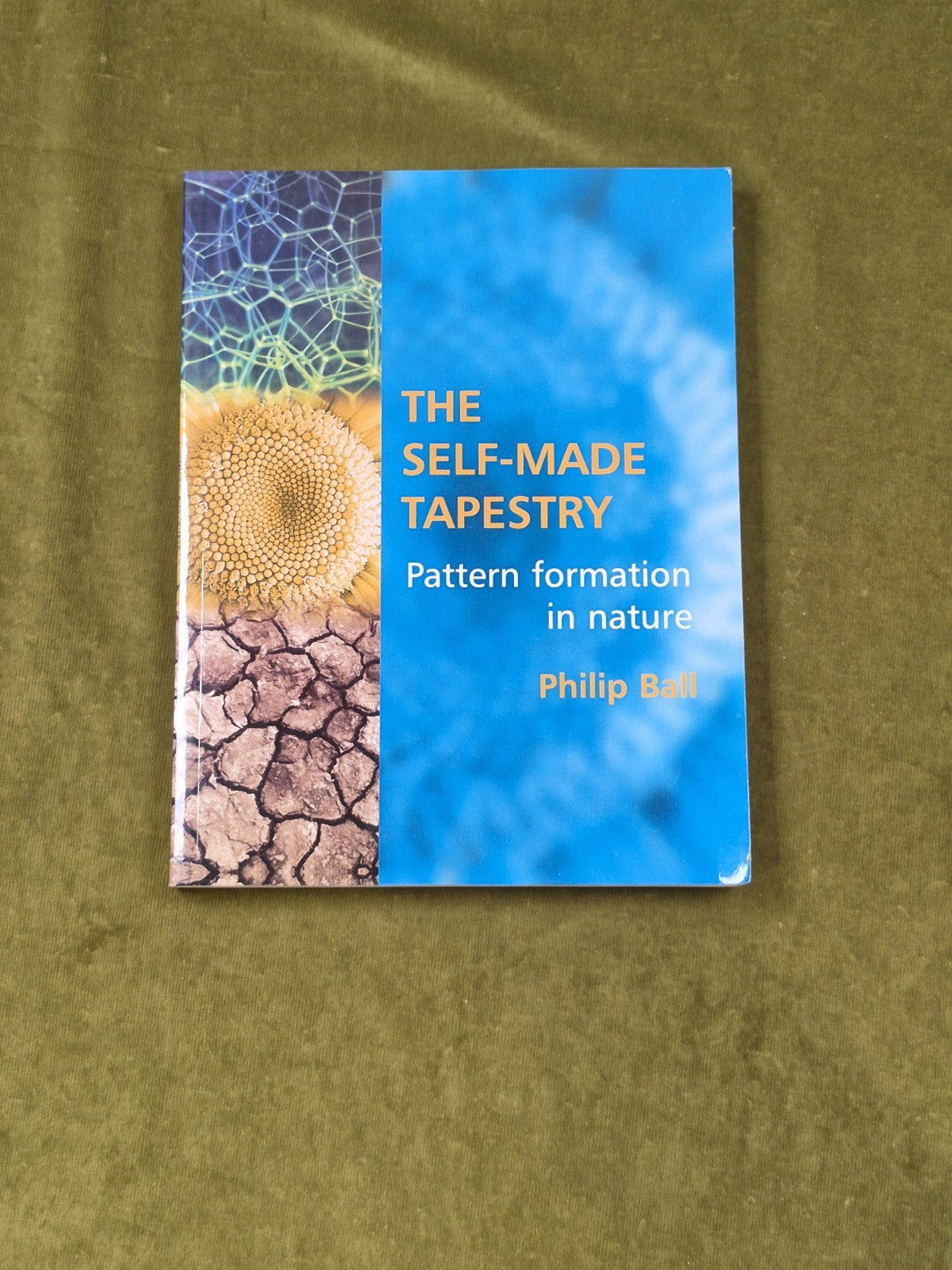 The Self-Made Tapestry : Pattern Formation in Nature - Philip Ball , Oxford PB0
