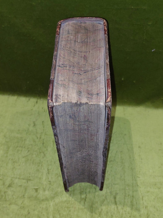 The Gardener’s Assistant Practical and Scientific Gardening 1878 Thompson Moore1