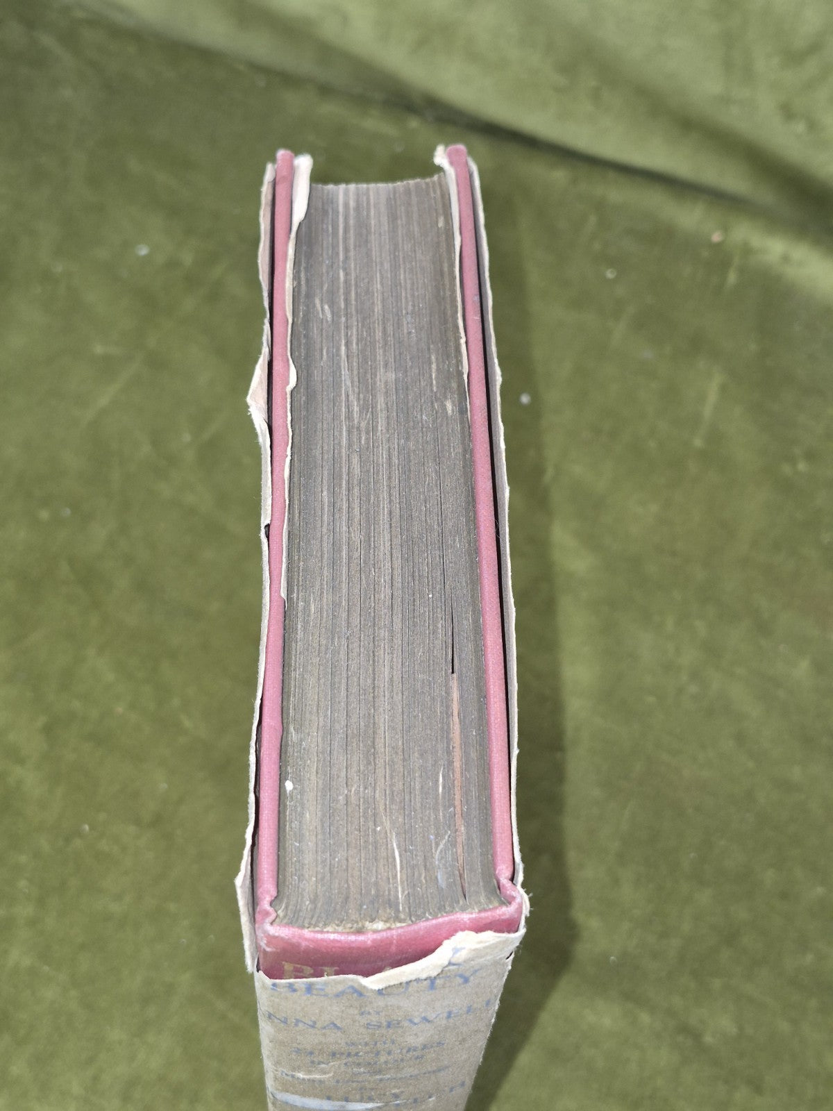 Black Beauty Lucy Kemp-Welch Anna Sewell 1926 Second Reprint Dustjacket 2