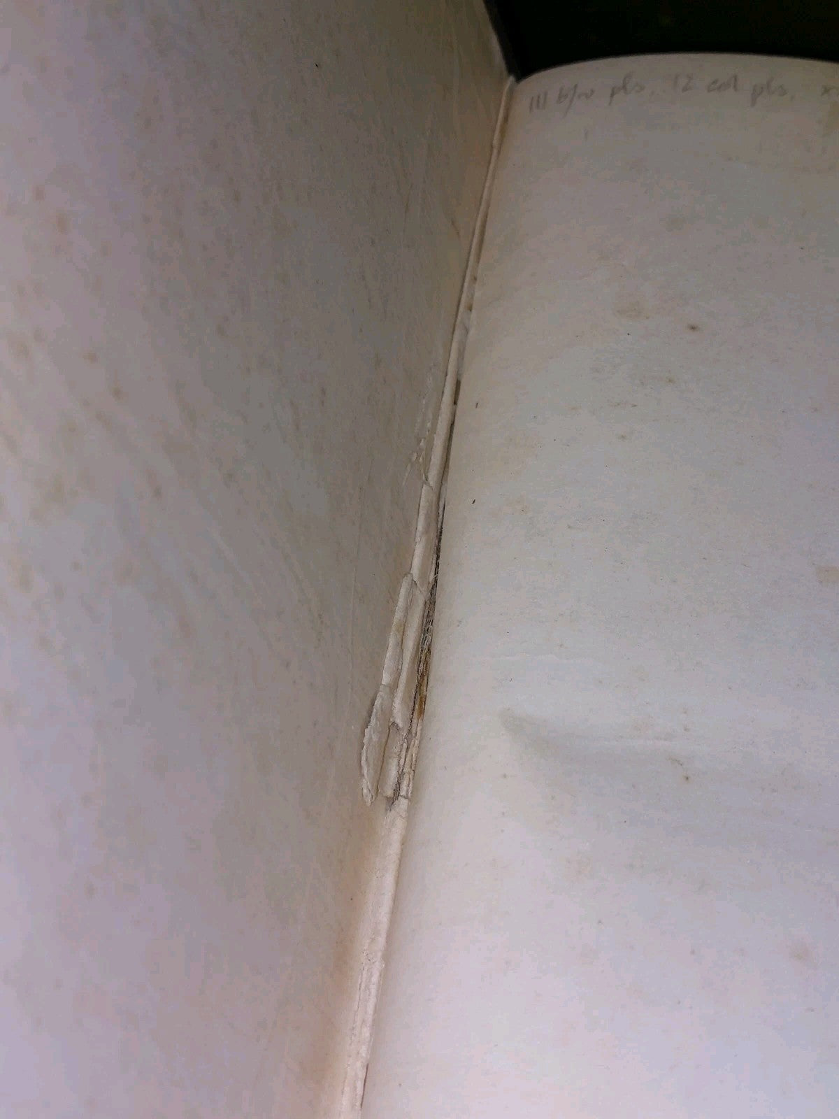 18861887 Eighth Report of American Bureau of Ethnology by J.POWELL (1891)3