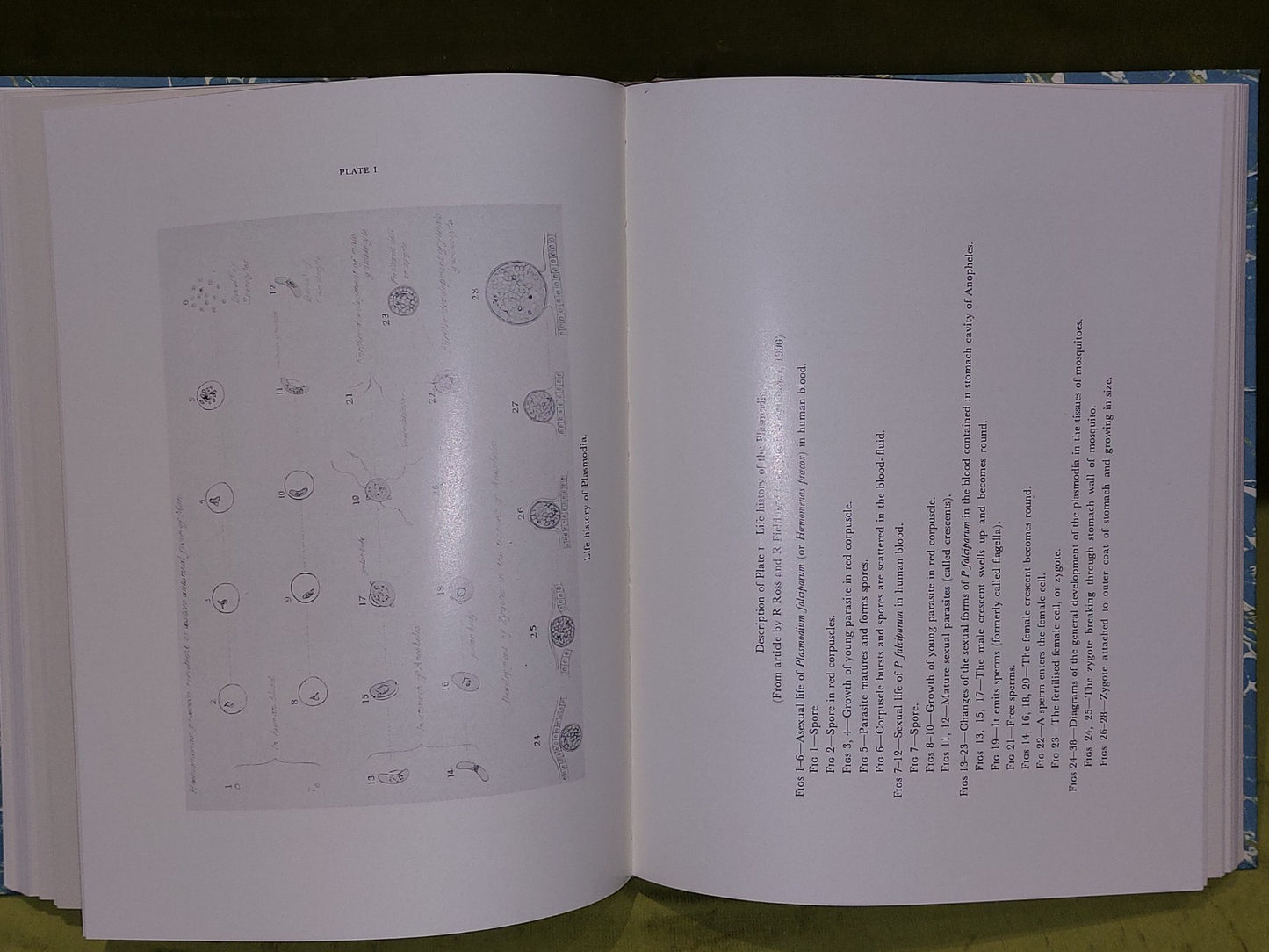 The Great Malaria Problem and its Solution by Ronald Ross (1988)6