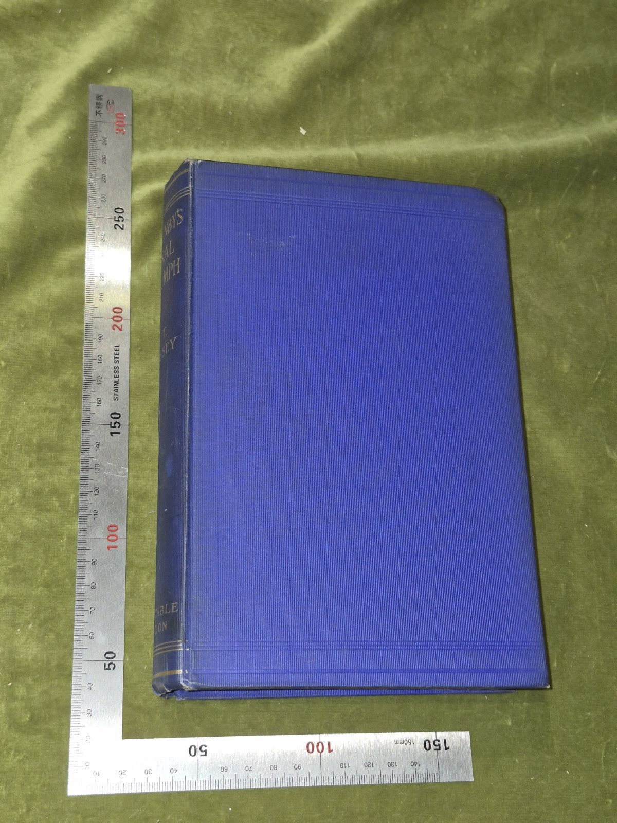 Allenby’s Final Triumph: Damascus, Jordan, By W. T. Massey - 1920 Edition1