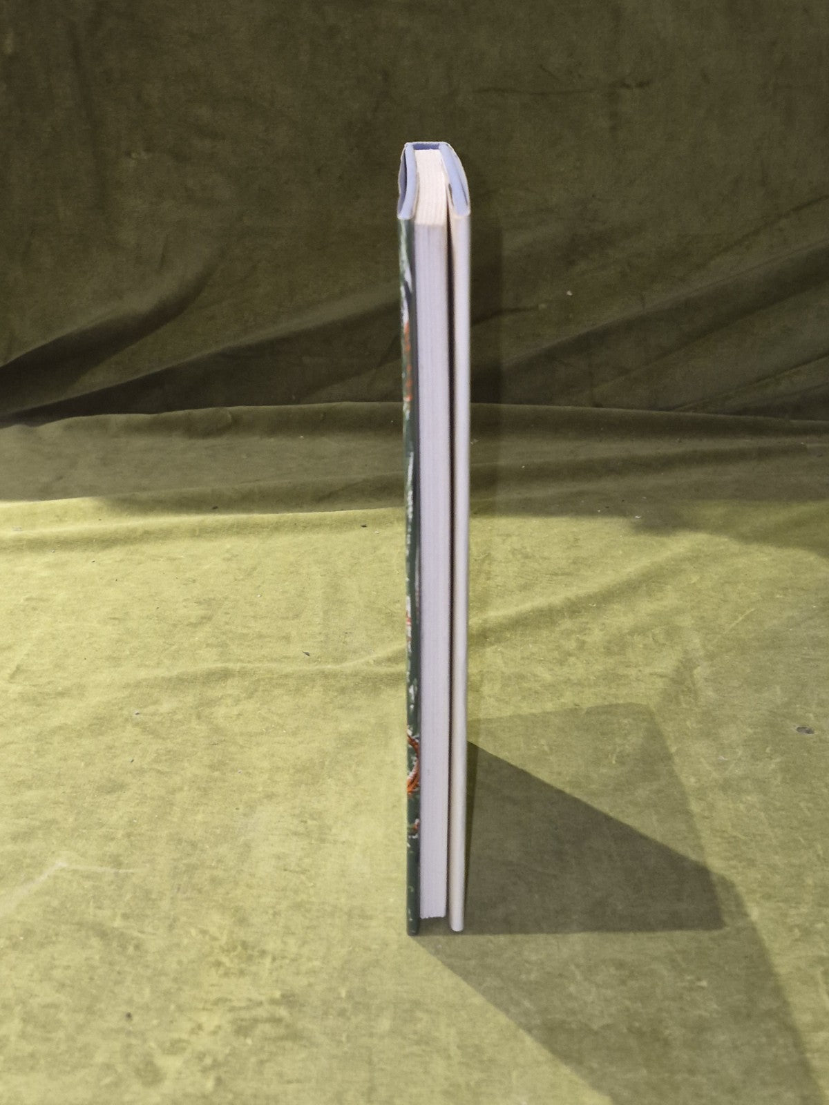 THE SEA EGG - L. M. Boston - Hardcover Book 1967 1st Edition7