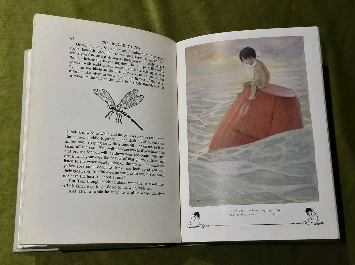 The Water Babies by Charles Kingsley 1939 Ist Ed IIlustrated HB Good Condition8