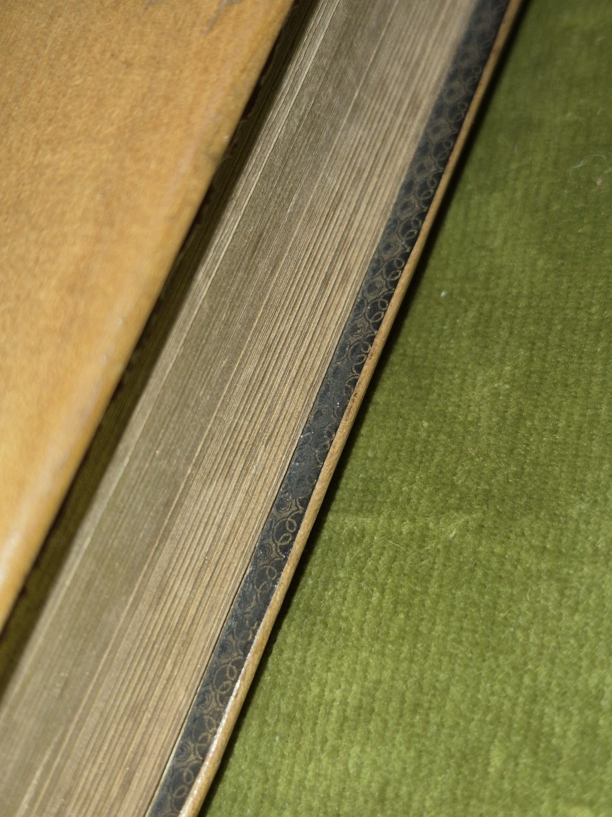 MAUCHLINE  WARE Poetical Works Of Sir Walter Scott  engravings - Gall & Inglis8