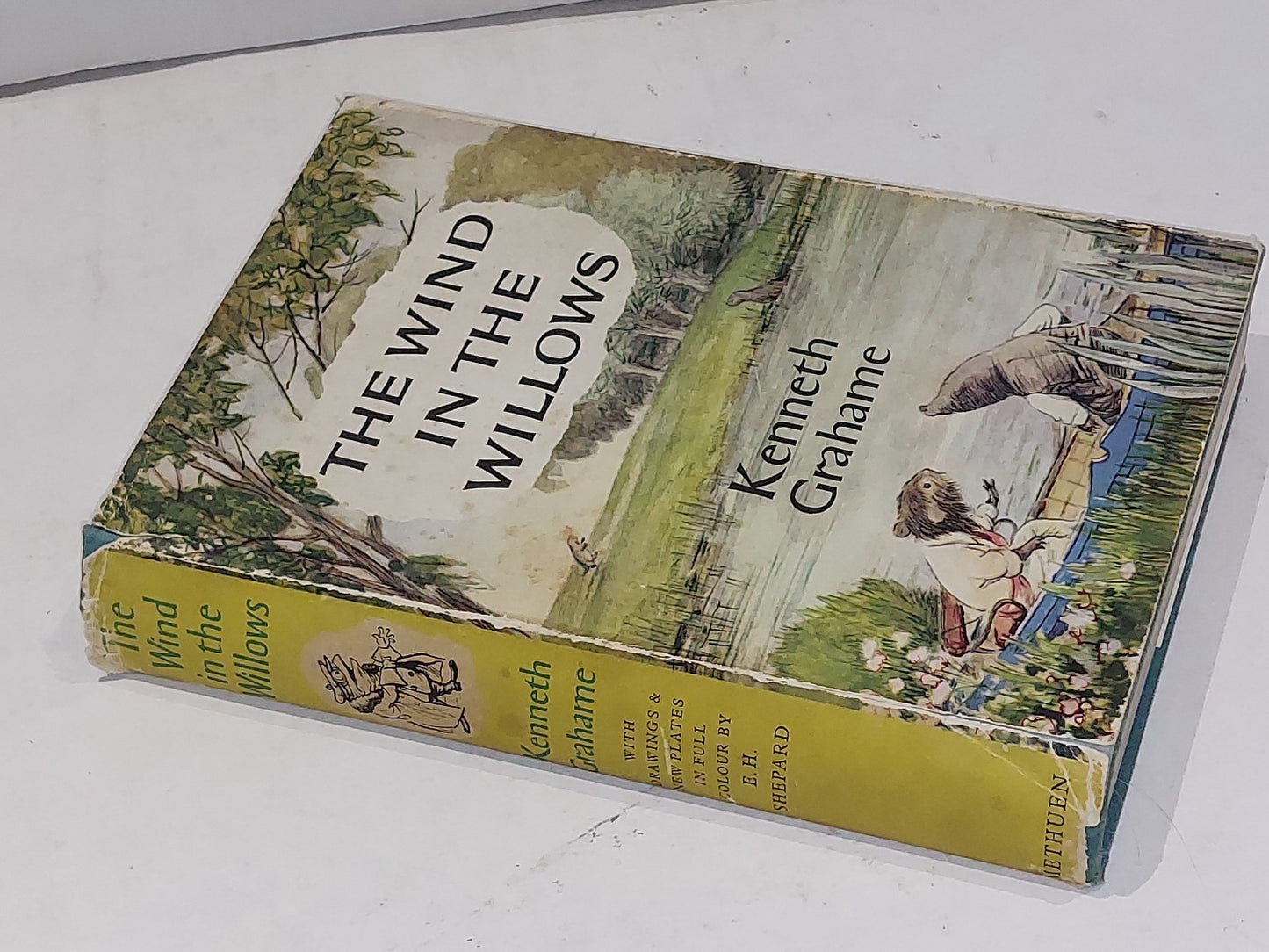 The Wind In The Willows Kenneth Grahame 1st Colour Edition Ernest H Shepard 19599