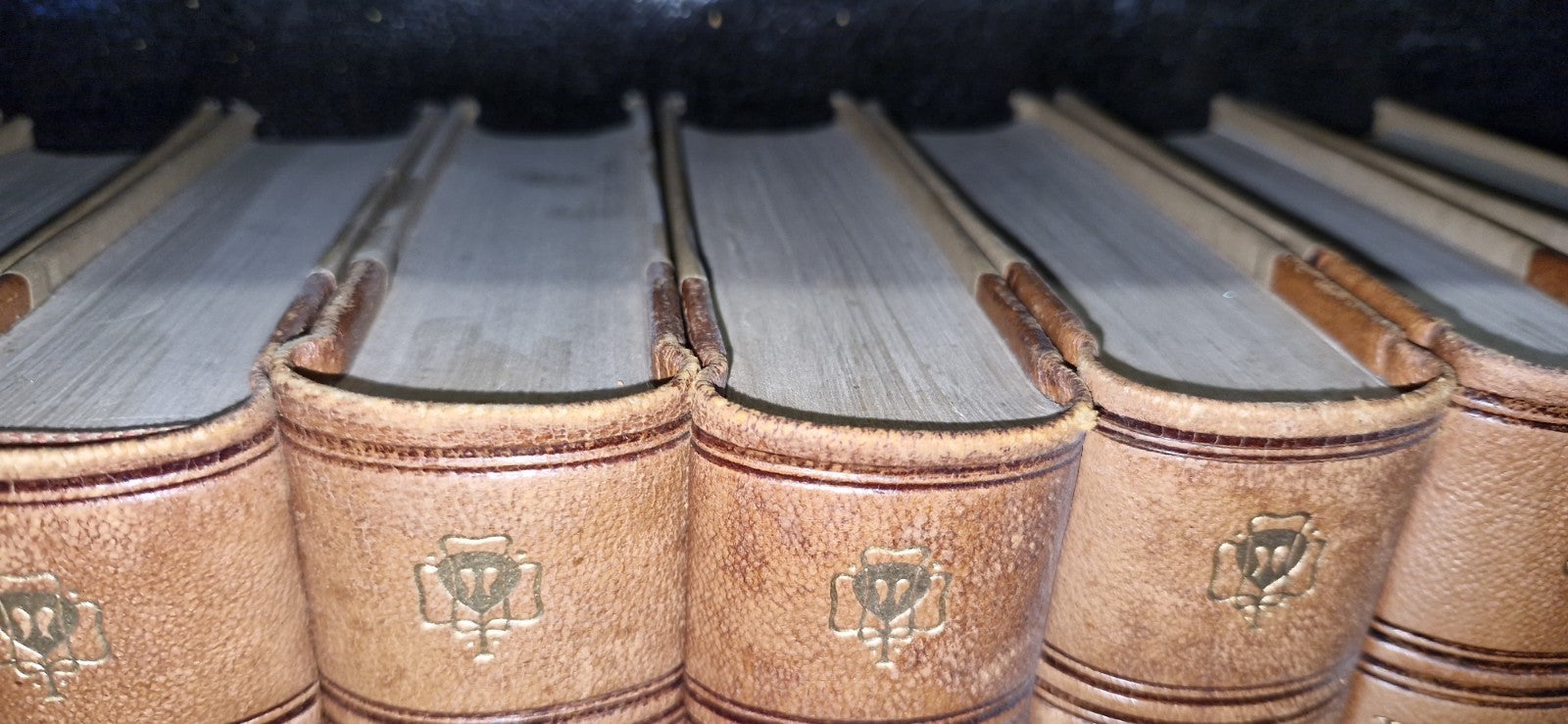 THE WORKS OF CHARLES DICKENS - 20 Volume Set In Leather GRESHAM 1912 VGC8