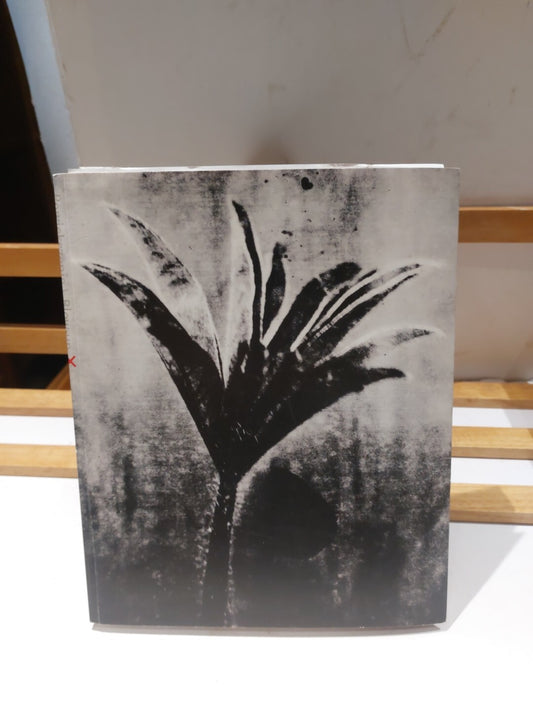 Powiekszenie Blow-Up: Photographs in the Time of Tumult; Latarnik (2002)0