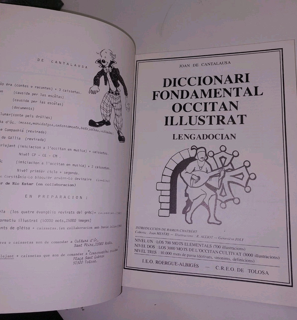 Diccionari Fondamental Occitan Illustrat  Lengadocian  De cantalausa Joan 3