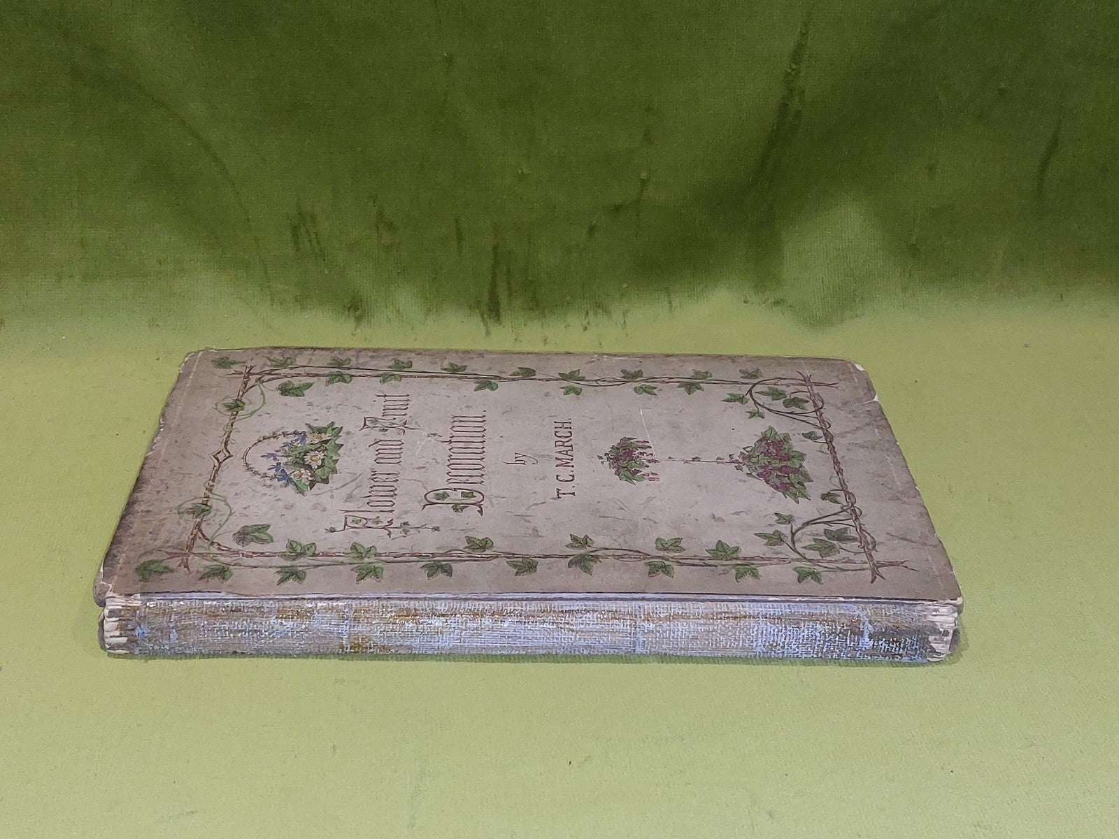 Flower And Fruit Decoration By T C March (1862) [Harrison] Book1