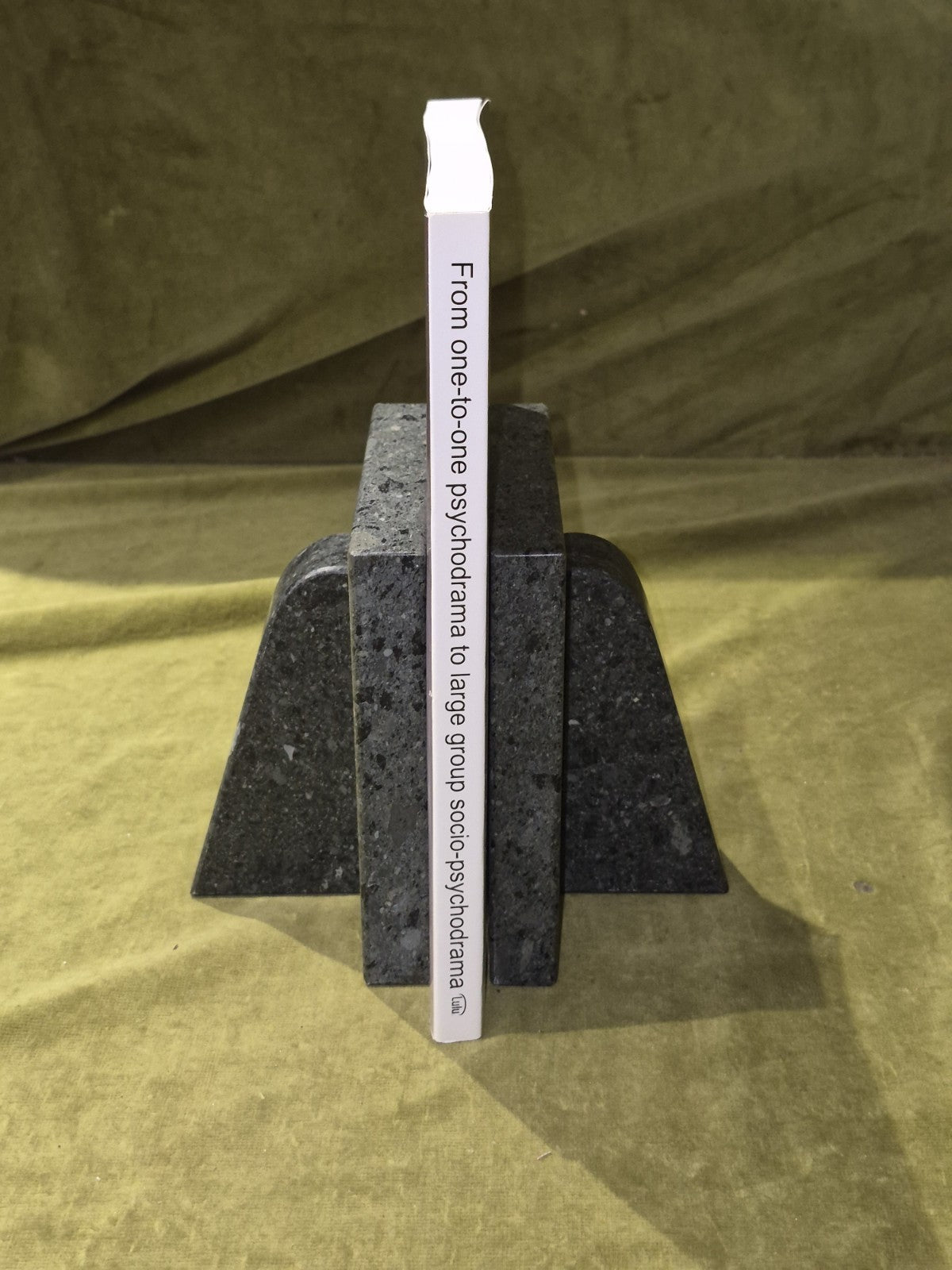 Brazilian Psychodrama , Zoltan Figusch 2009 Paperback2