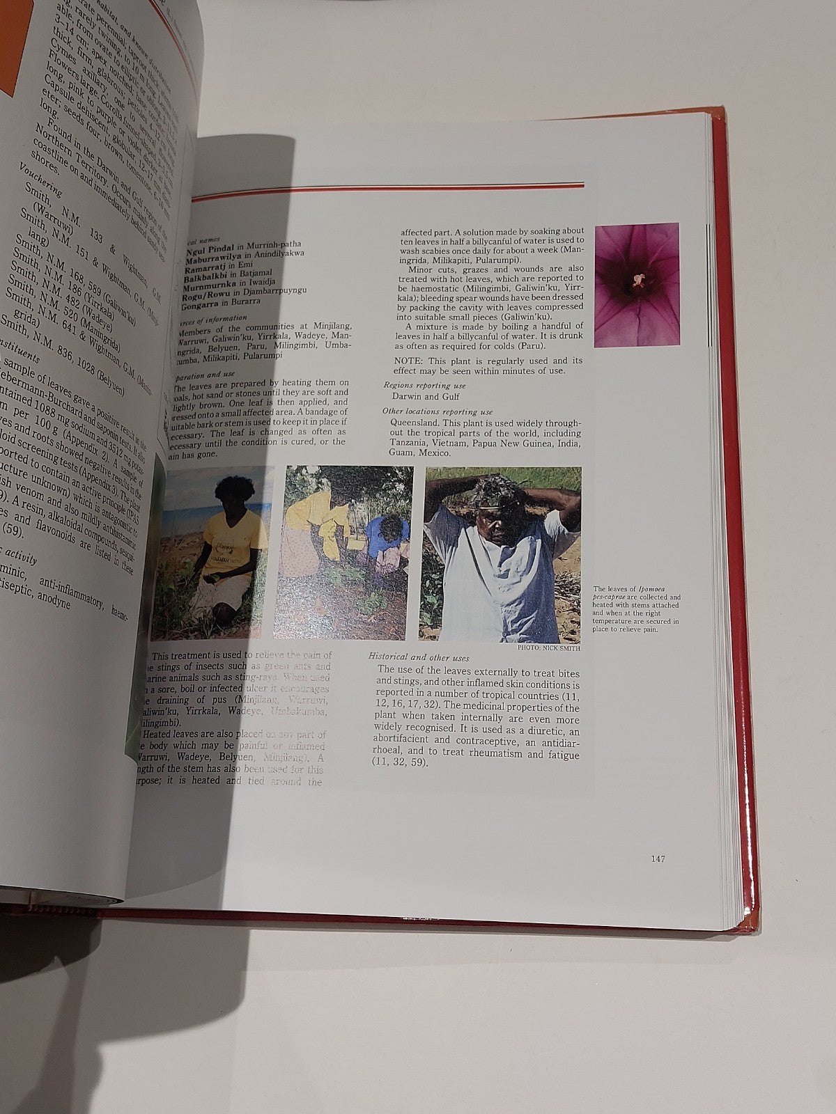 Traditional Bush Medicines : An Aboriginal Pharmacopoeia (1988) 1st Ed Hb Book8