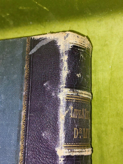 c1880 Life And Explorations Of Dr Livingstone Illustrated Tinted Lithographs4