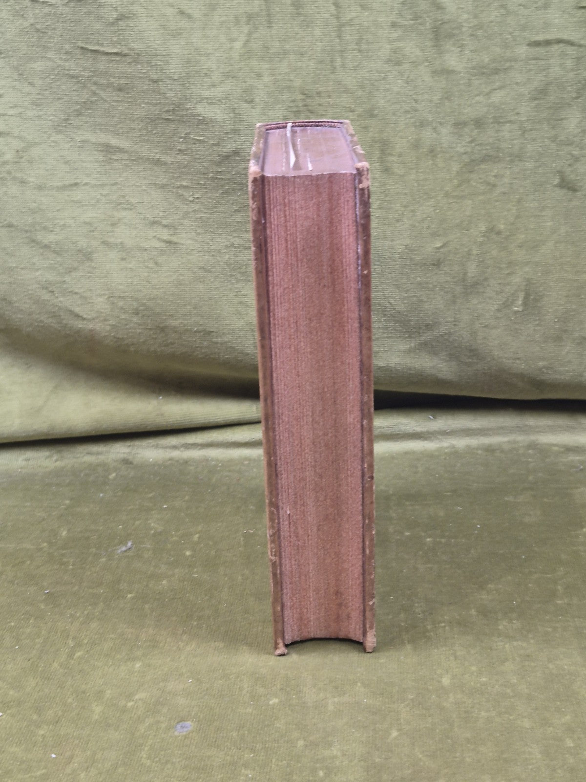 Robert Dick Geologist & Botanist by Samuel Smiles , John Murray 1878 1st Leather7