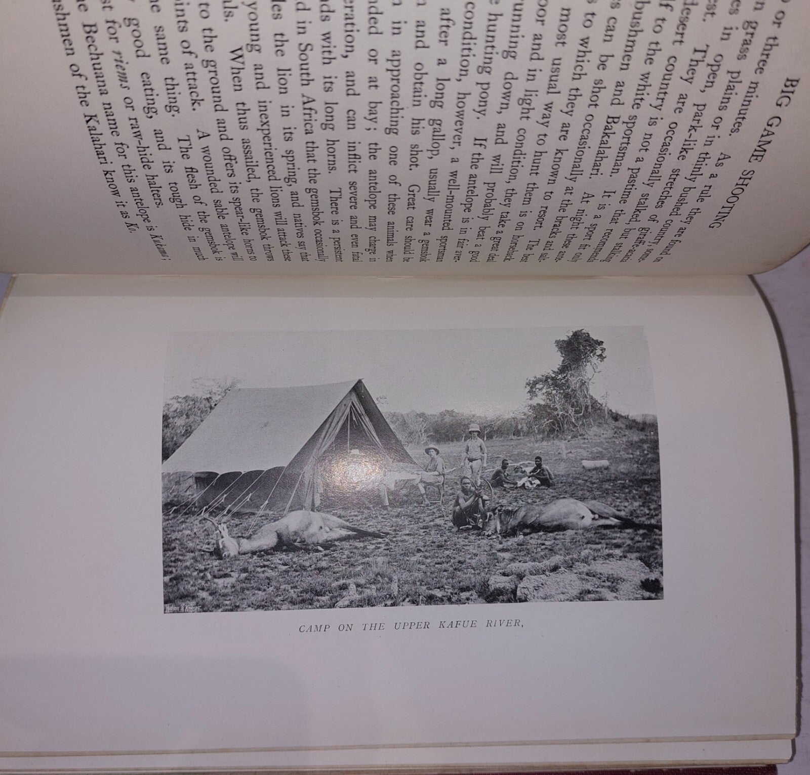 Big Game Shooting. Horace G. Hutchison. Volume 2 Only 1905 1st Edition 6