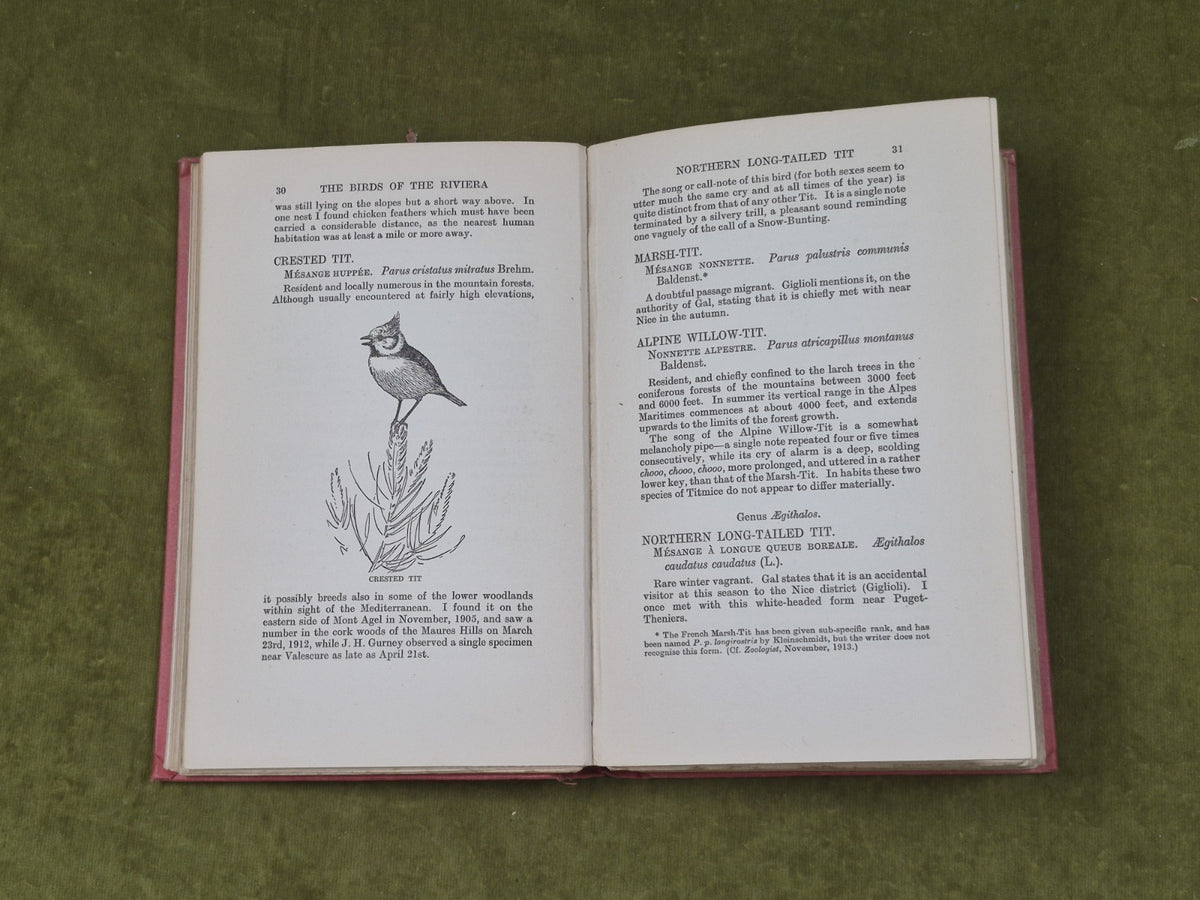 The Birds of the Riviera - Collingwood Ingram , Witherby 1926 HB Ex Lib7