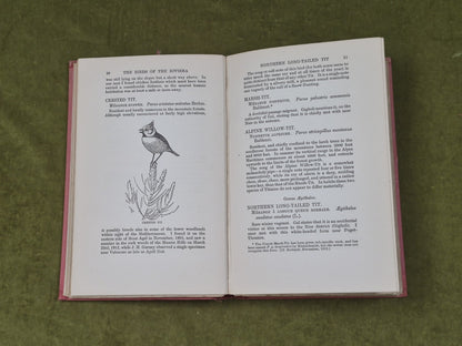 The Birds of the Riviera - Collingwood Ingram , Witherby 1926 HB Ex Lib7