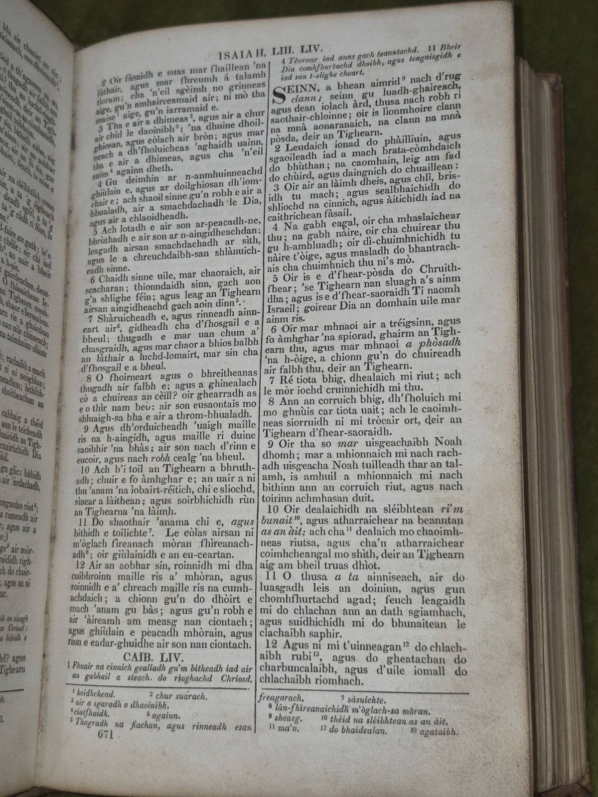 Biobull T-Seann Tiomnaidh 1828 London Gaelic Albannaich8