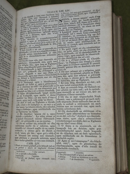 Biobull T-Seann Tiomnaidh 1828 London Gaelic Albannaich8