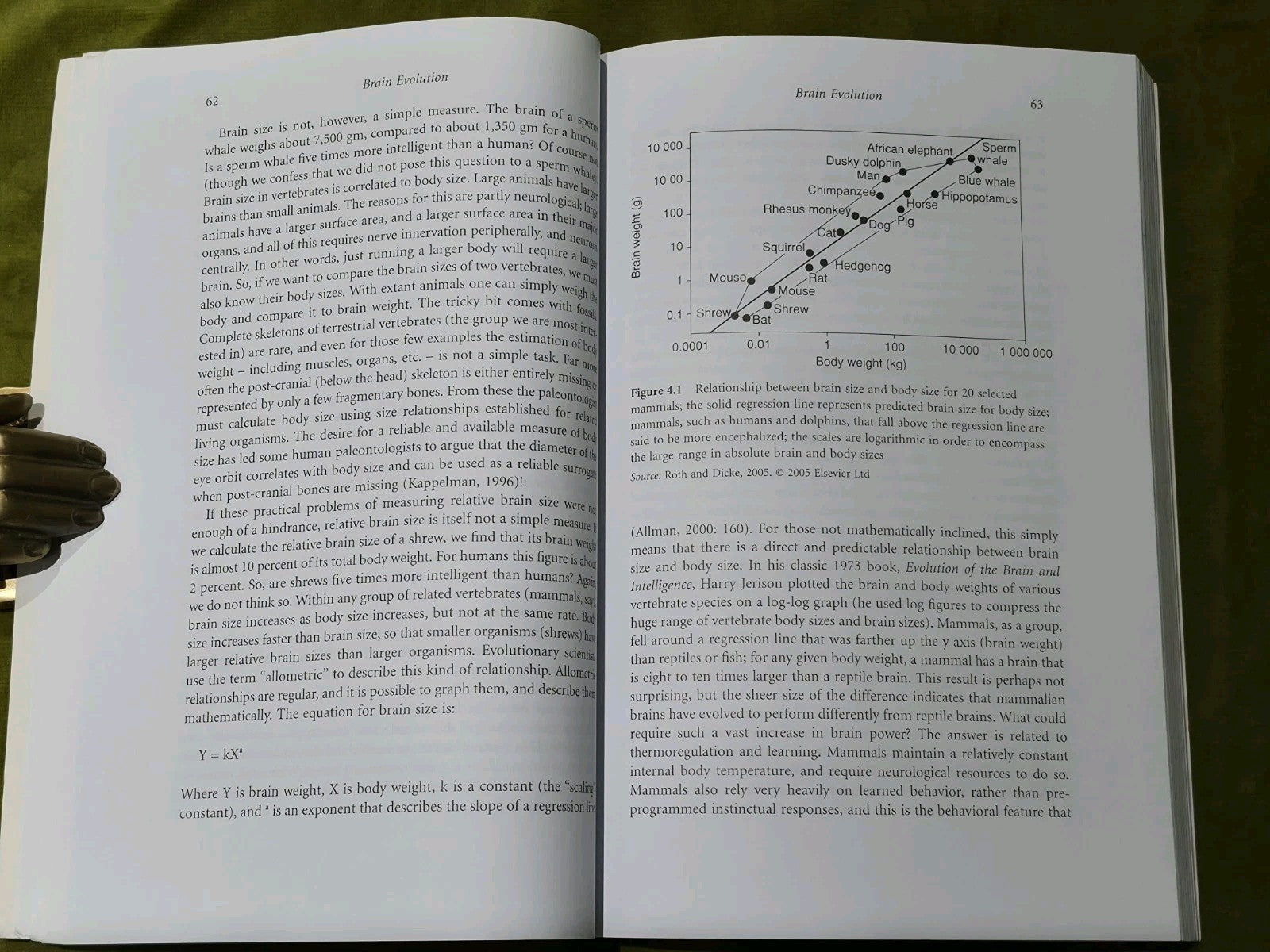 Rise of Homo Sapiens: the Evolution of Modern Thinking by Coolidge and Wynn7