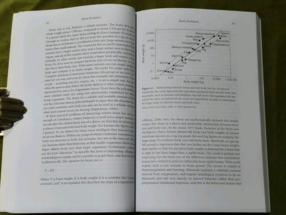 Rise of Homo Sapiens: the Evolution of Modern Thinking by Coolidge and Wynn7