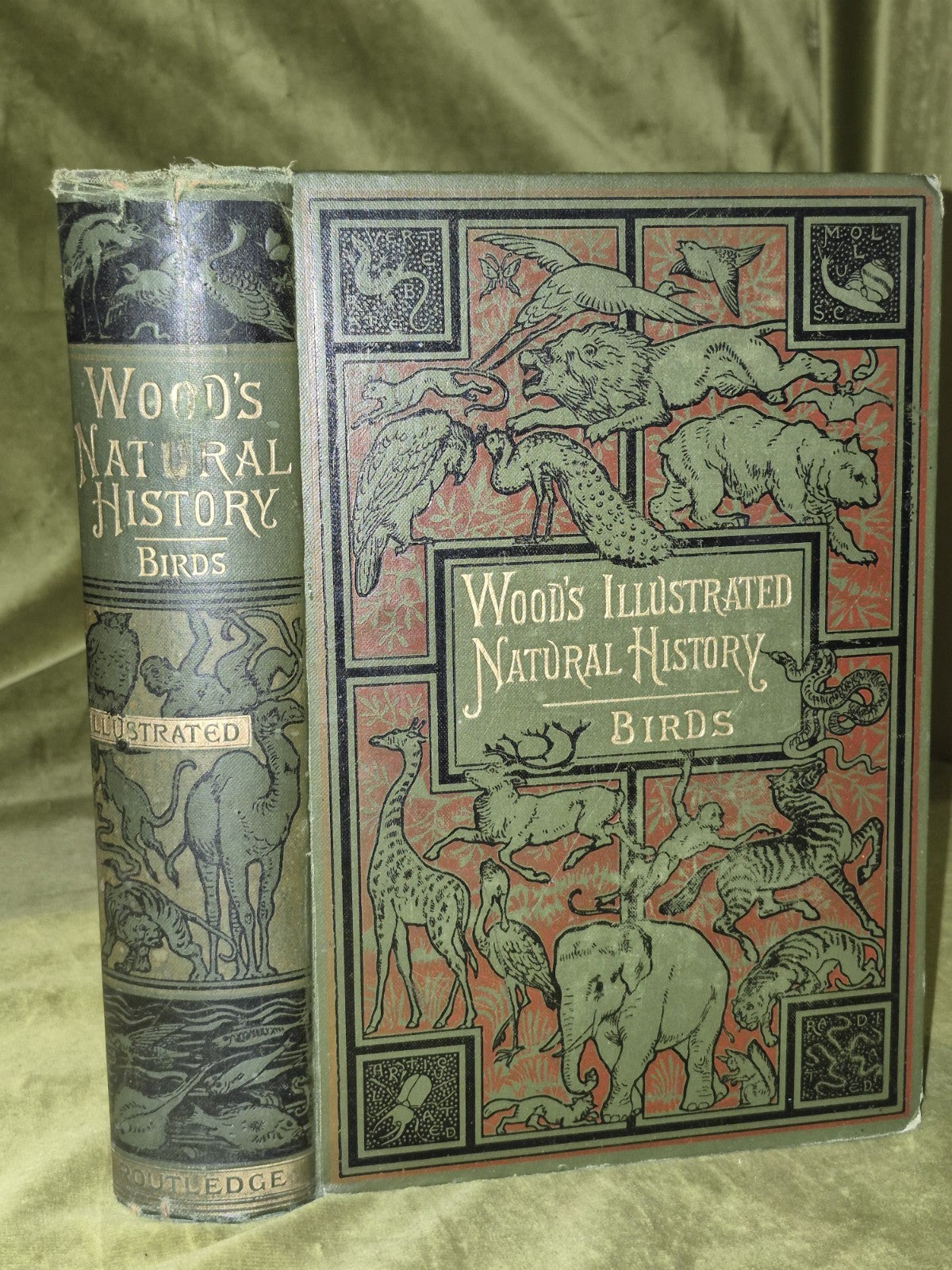 Wood's Illustrated Natural History  Mammals Birds Reptile8