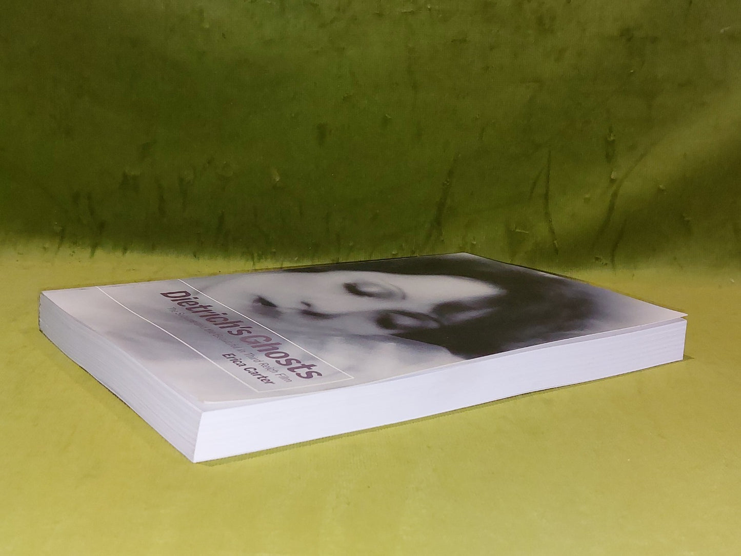 Dietrich's Ghosts By Erica Carter (1990) [Bfi Publishing] 2004 Pb3