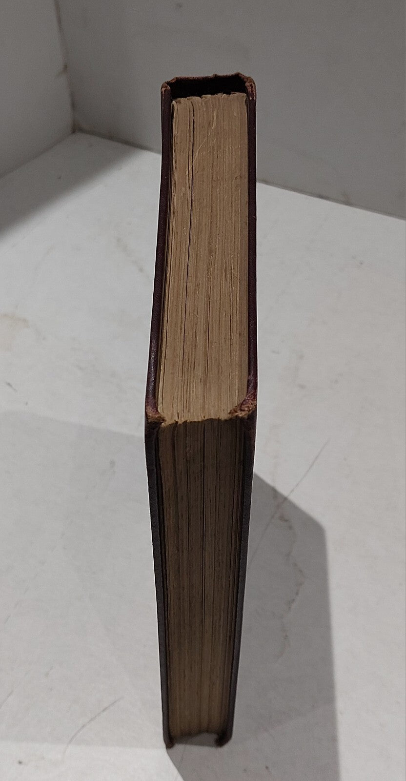 1896 Angling Holidays C W Gedney First Edition Illustrated1