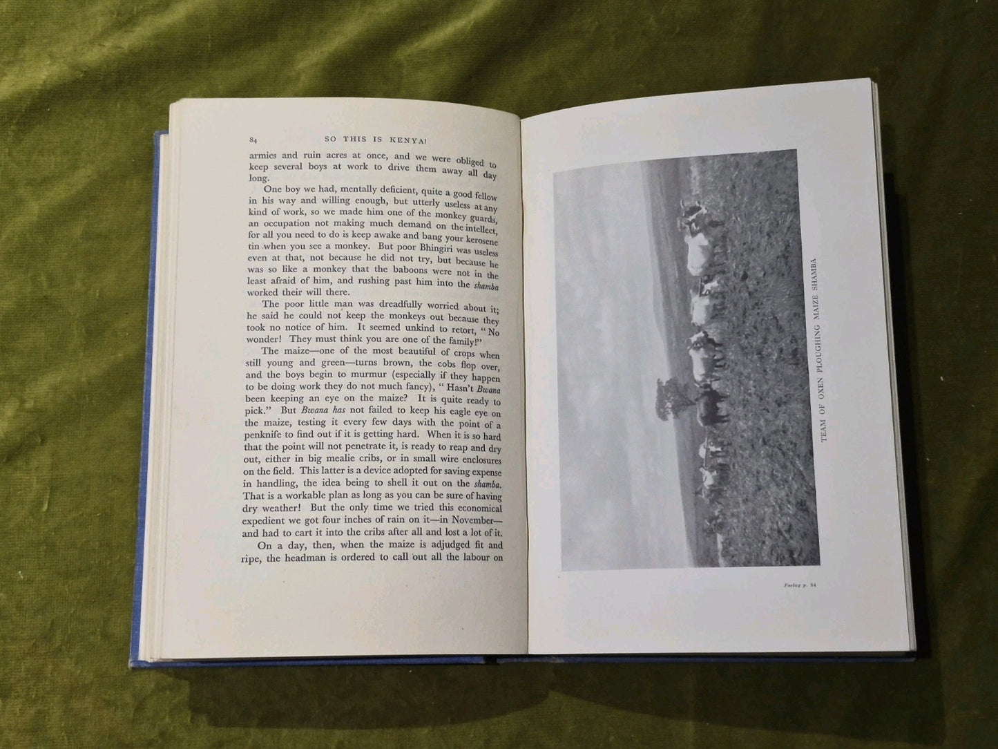 So This Is Kenya (Evelyn Brodhurst-Hill - 1936)5