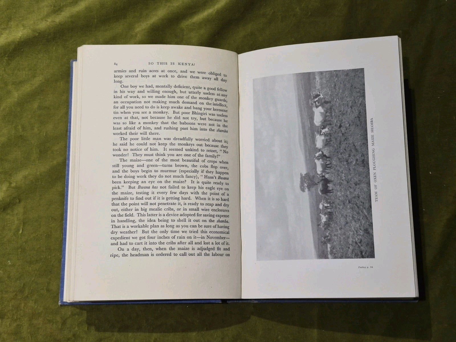 So This Is Kenya (Evelyn Brodhurst-Hill - 1936)5