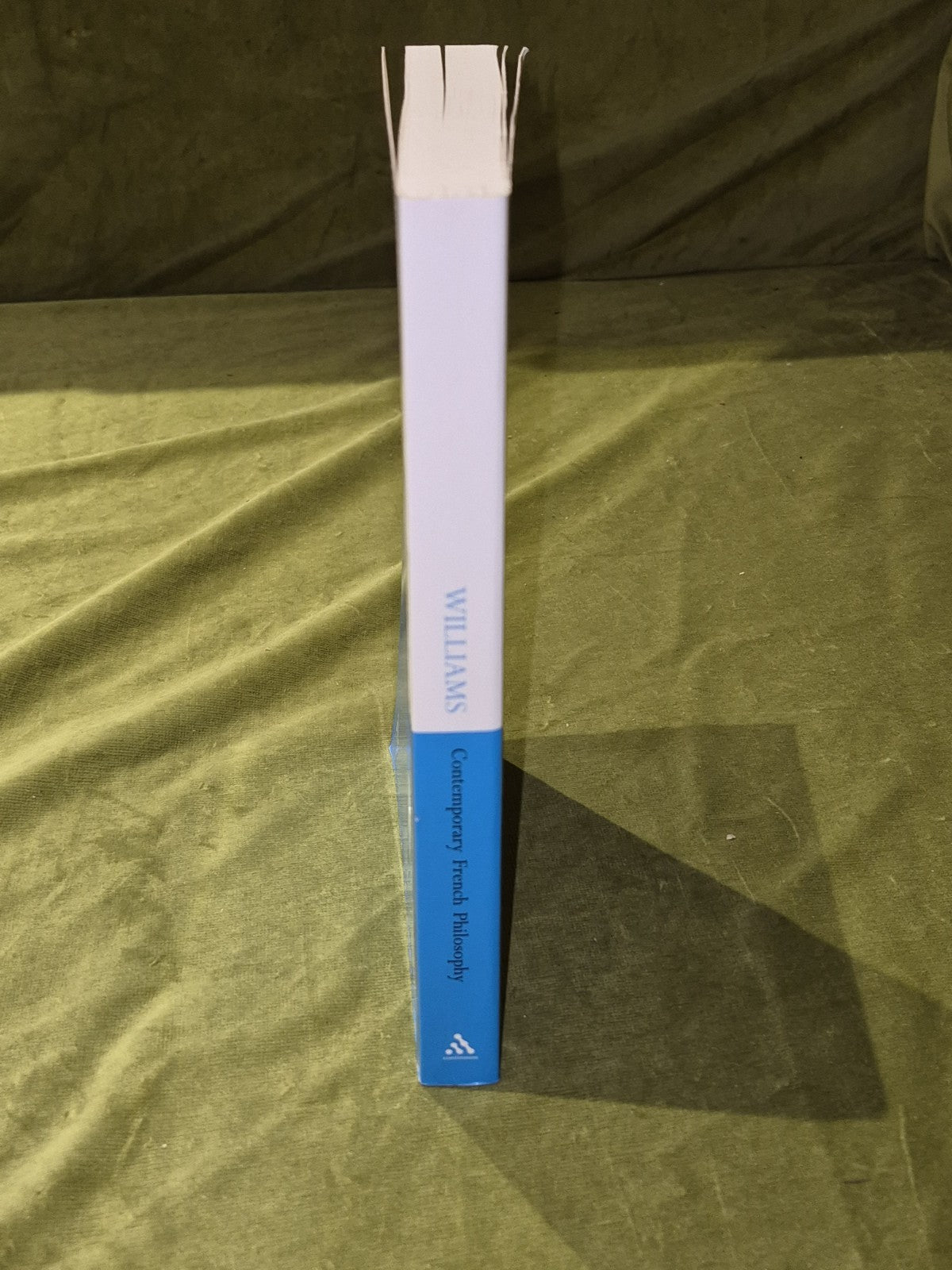 Contemporary French Philosophy: Modernity and the Persistence of the Subject2