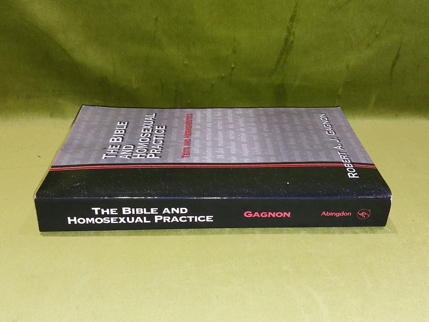 Bible and Homosexual Practice  Robert Gagnon  (2001)1