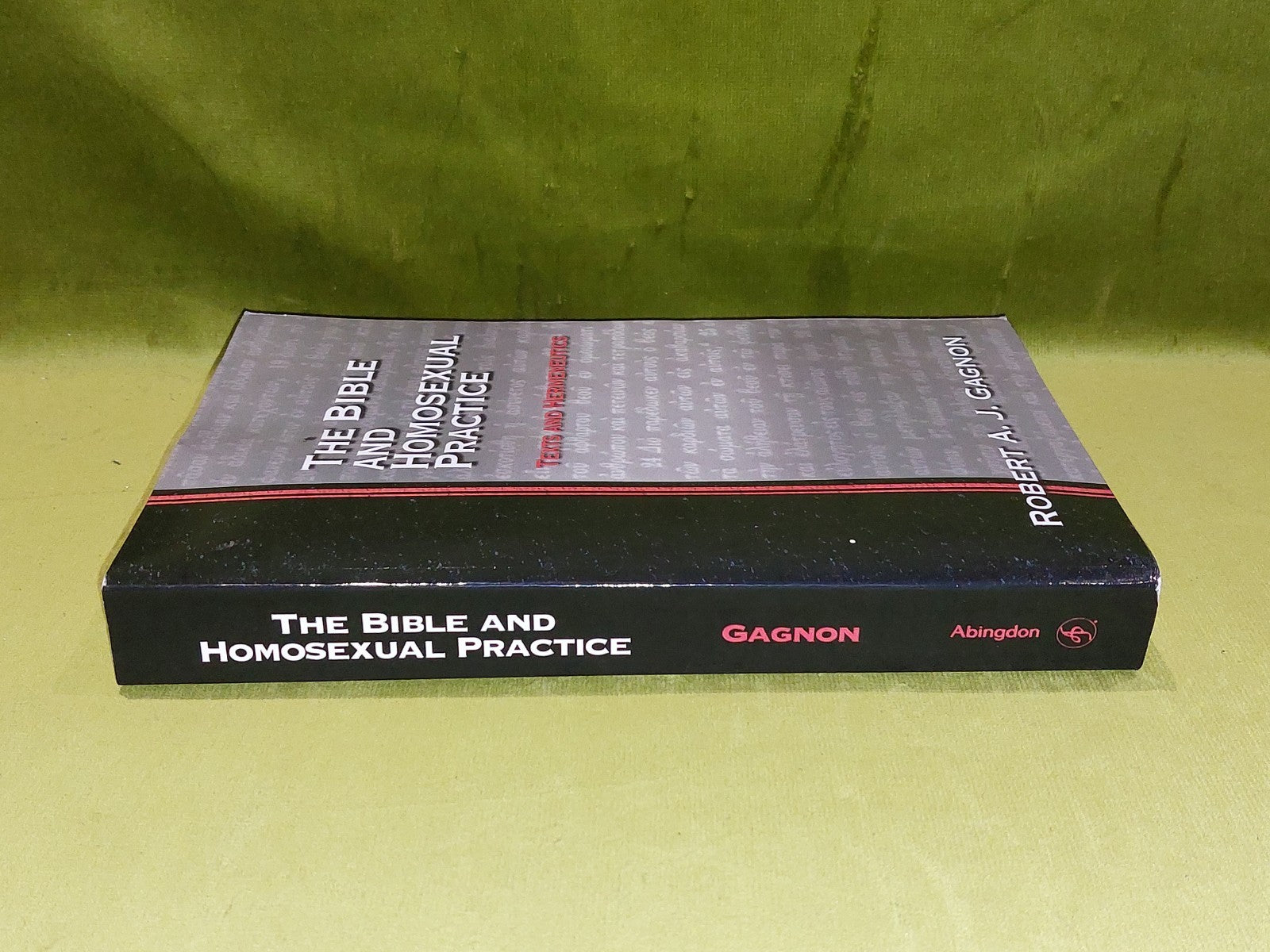 Bible and Homosexual Practice  Robert Gagnon  (2001)1